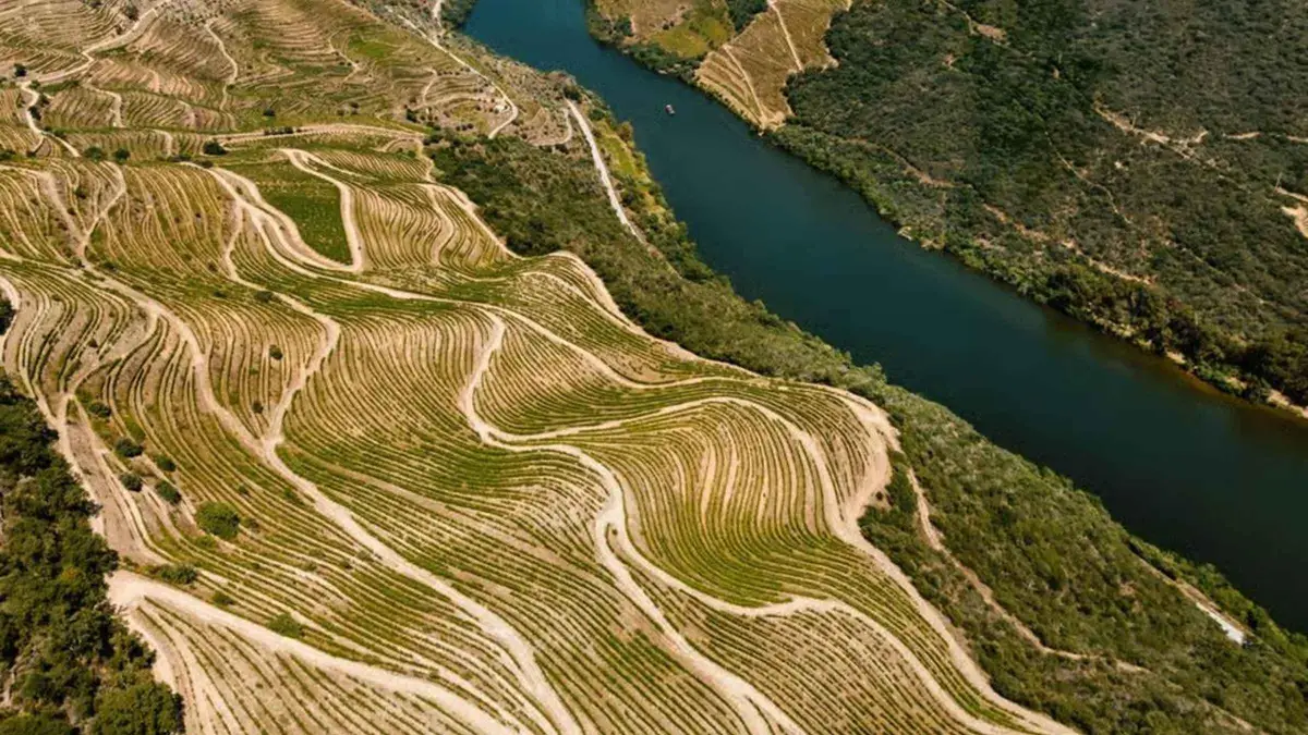 Riverside railway and Douro River on a Douro Valley boat, train and lunch tour from Porto, Portugal