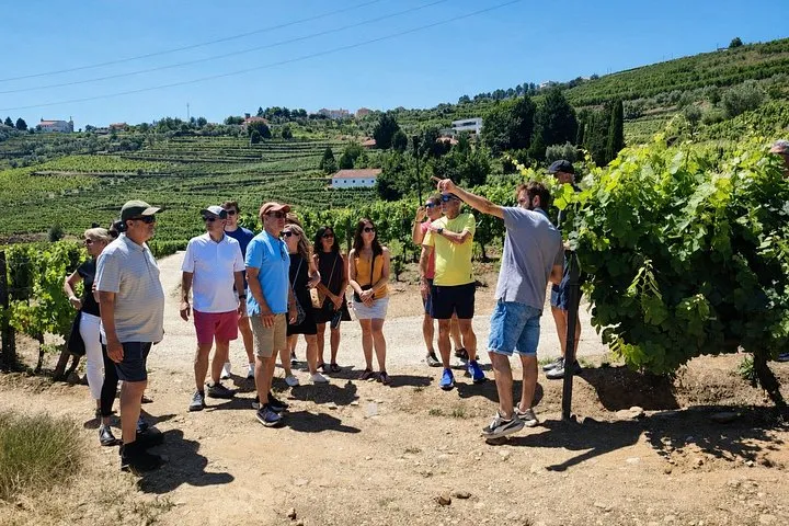 Douro Valley estate vineyards and river on a small-group Douro Valley wine tour from Porto with two wineries, Portugal