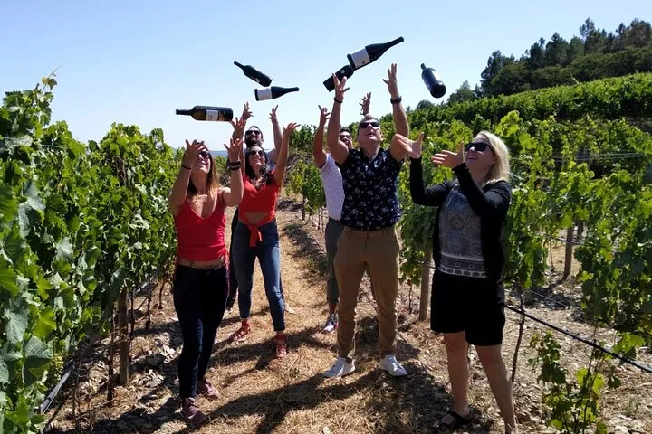 Douro River cruise boat among terraced vineyards on a small-group Douro Valley wine tour from Porto, Portugal