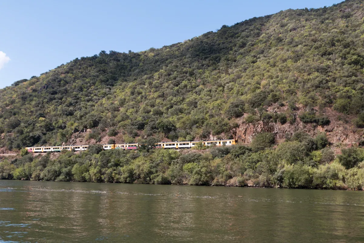 Train on the Douro railway line by the river on a boat and train Douro Valley wine tour from Porto