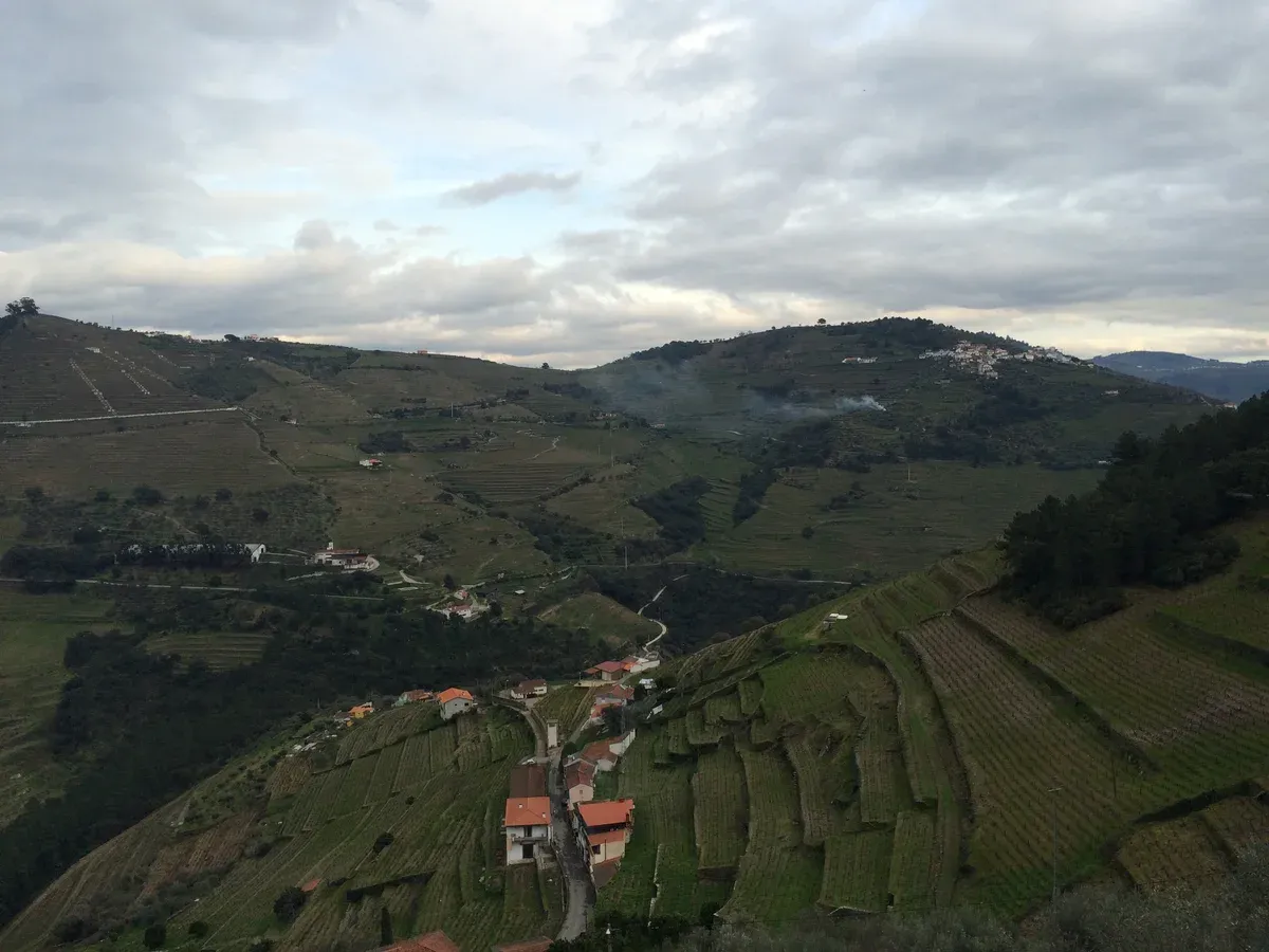 Alto Douro valley with a hamlet among vineyards on a half day Douro Valley wine tour from Porto