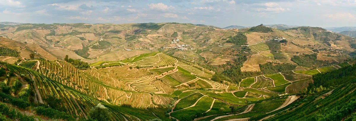 Terraced vineyards above the Douro near Pinhão, a base for a 3-day trip from Porto