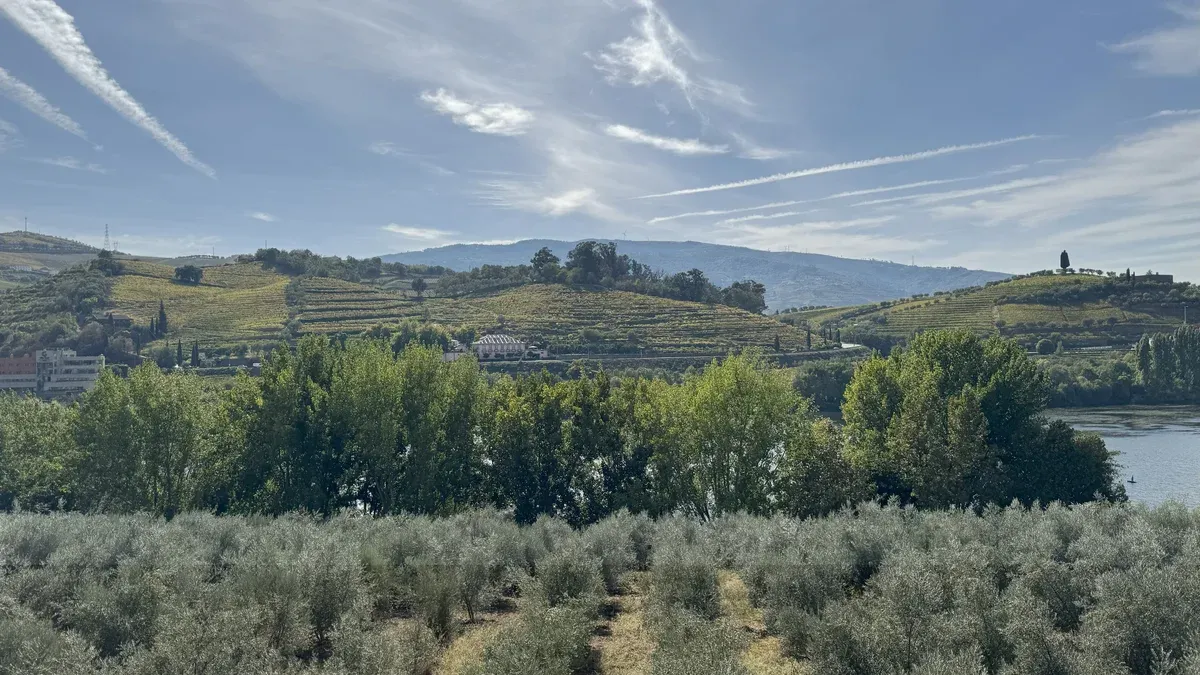 Douro river and terraced vineyards near Régua on a small group Douro Valley wine tour from Porto