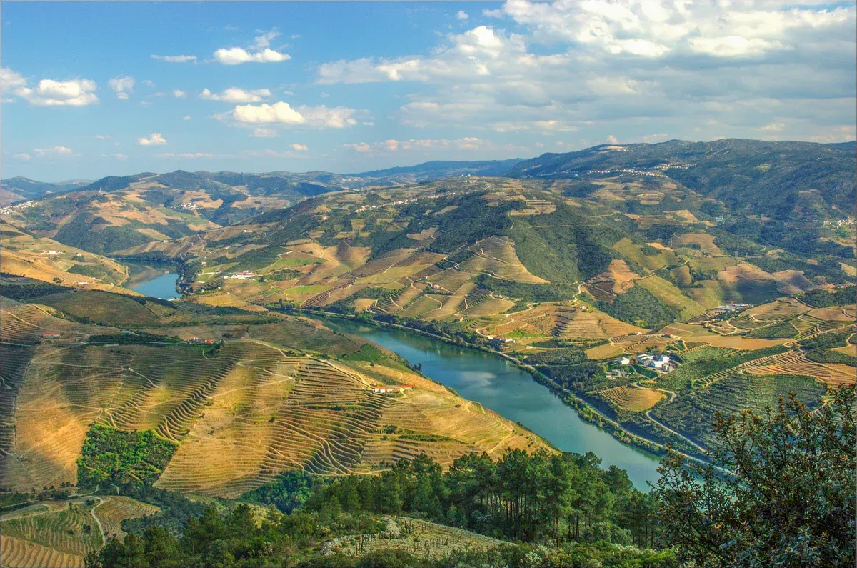 Douro river bend seen from the São Leonardo de Galafura viewpoint on a private Douro Valley wine tour from Porto